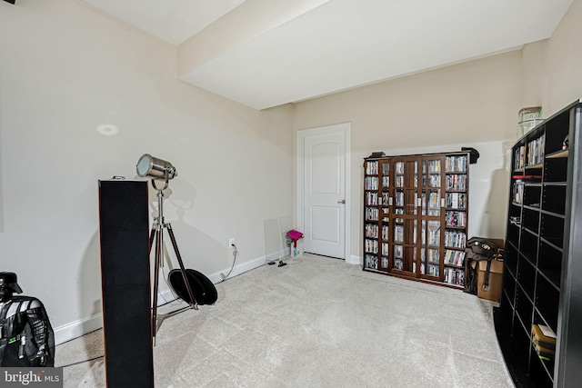 misc room featuring light colored carpet