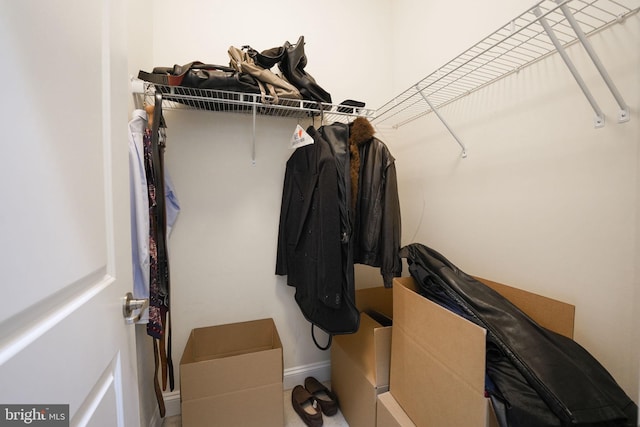 view of spacious closet