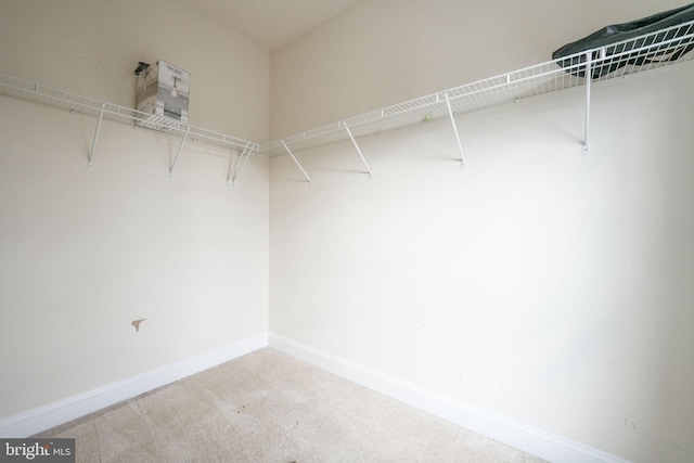 spacious closet with carpet