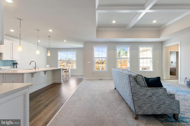 living room featuring a wealth of natural light, sink, ornamental molding, and light hardwood / wood-style flooring