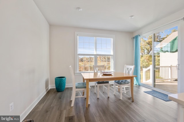 dining room featuring hardwood / wood-style floors