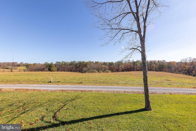 view of yard featuring a rural view