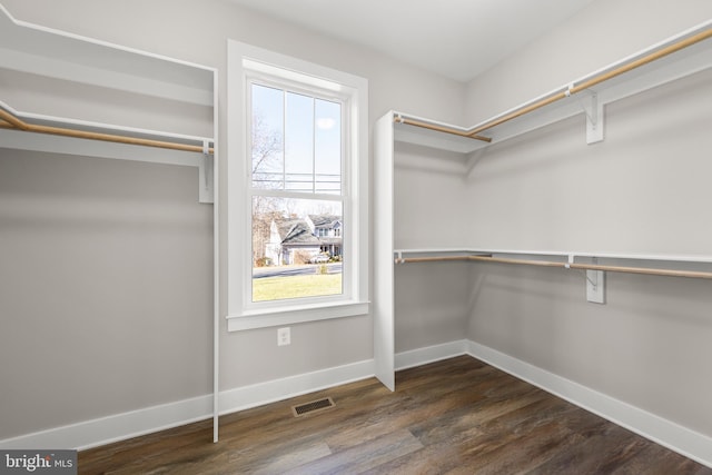 spacious closet with dark hardwood / wood-style floors