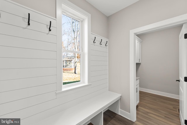 mudroom featuring a wealth of natural light and dark hardwood / wood-style flooring