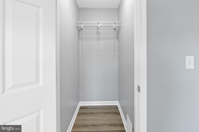 spacious closet featuring wood-type flooring