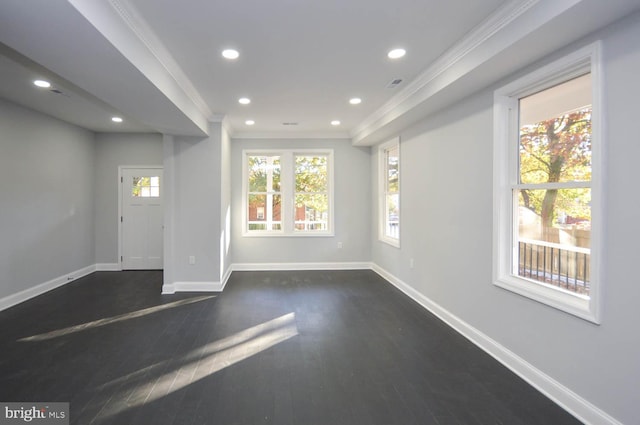 interior space with ornamental molding, a wealth of natural light, and dark hardwood / wood-style flooring