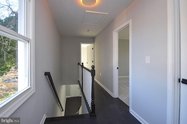 hallway with a healthy amount of sunlight