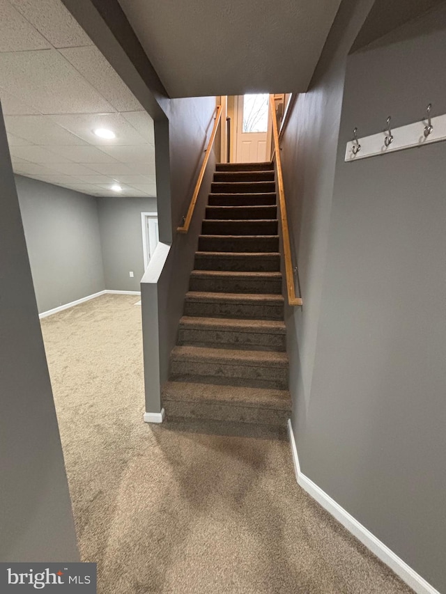 stairway with carpet and a paneled ceiling