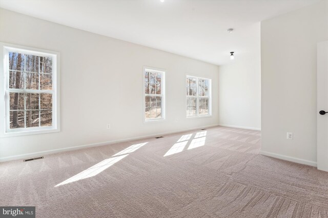 spare room with light carpet