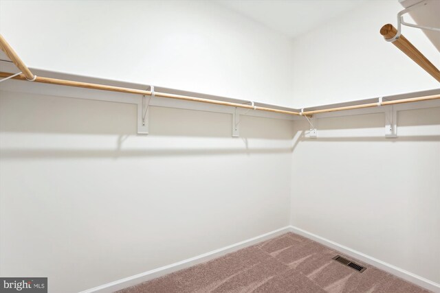 spacious closet with carpet floors