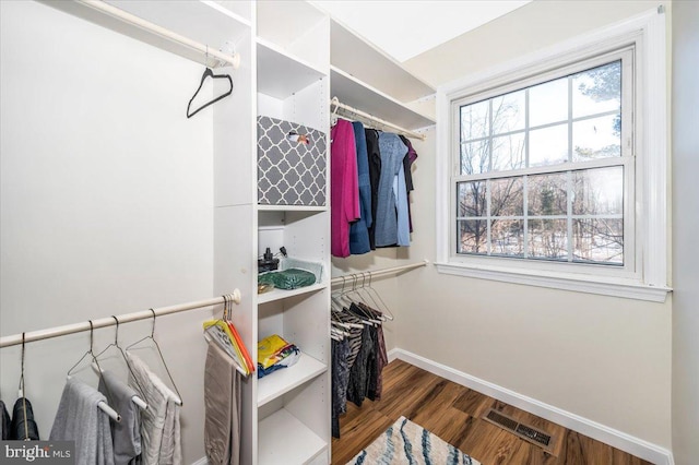 spacious closet with dark hardwood / wood-style flooring