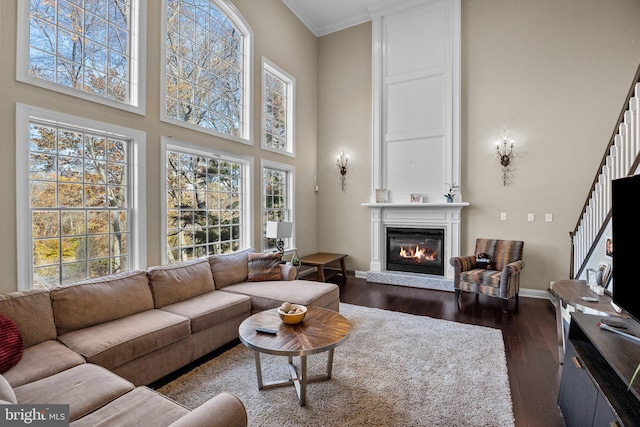 living room featuring a fireplace, a towering ceiling, dark hardwood / wood-style flooring, and ornamental molding