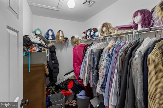 view of walk in closet