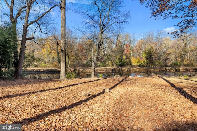 view of yard with a water view