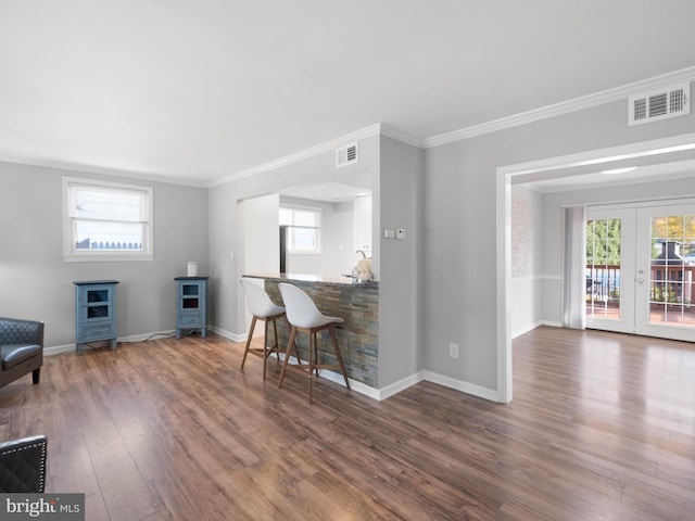 interior space with ornamental molding, french doors, a wealth of natural light, and dark hardwood / wood-style floors