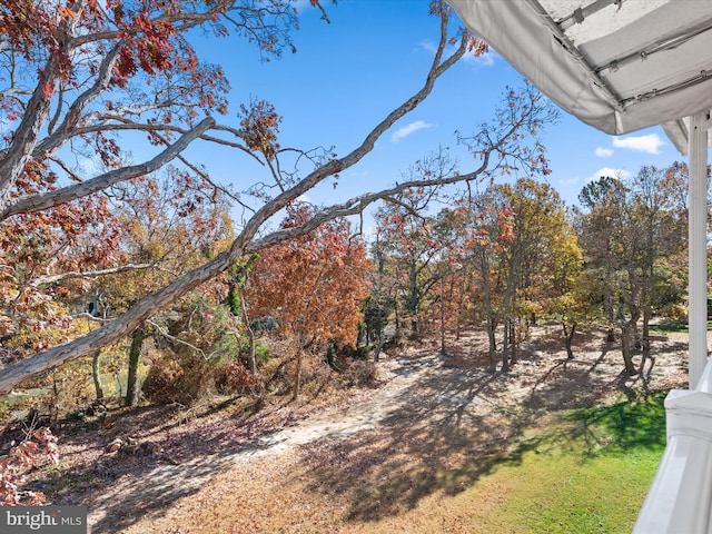 37601 Atlantic St Unit 8, Rehoboth Beach, DE 19971 - view of yard