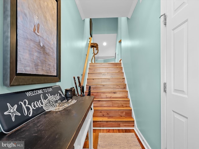 37601 Atlantic St Unit 8, Rehoboth Beach, DE 19971 - staircase with crown molding and wood finished floors