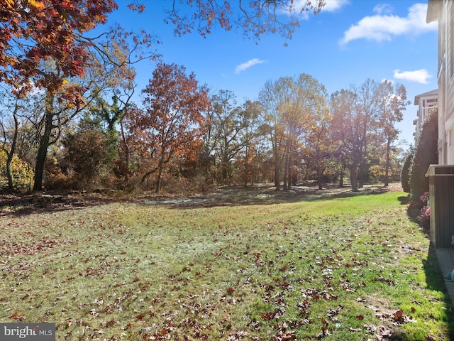 view of yard