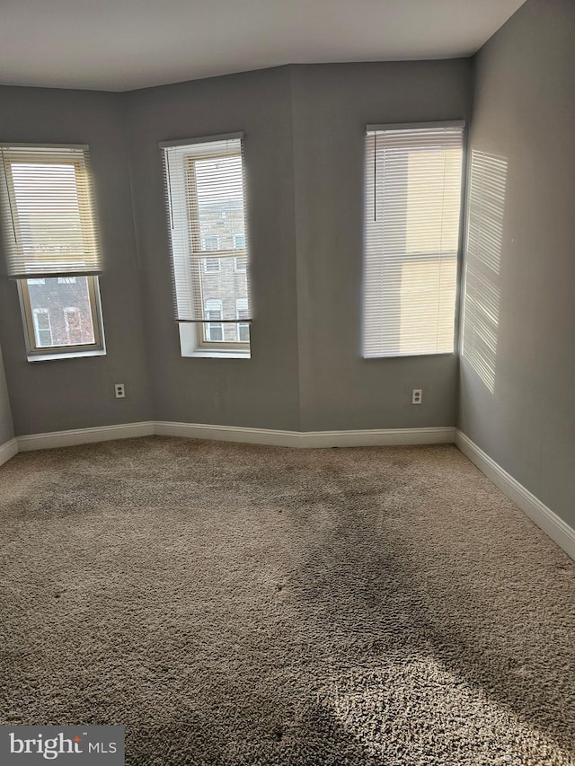 unfurnished room with carpet