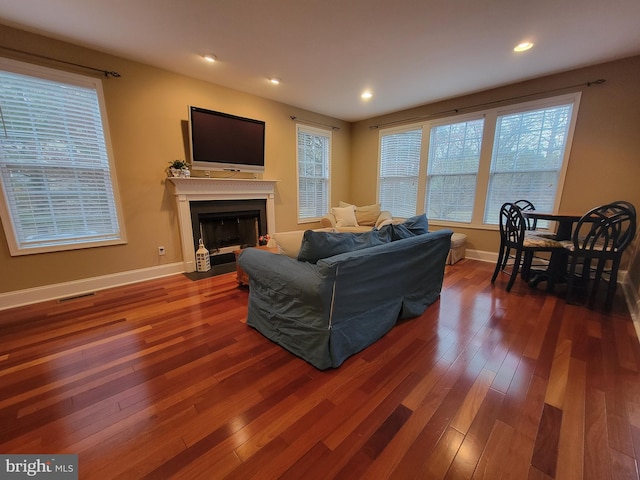 living room featuring dark wood-type flooring