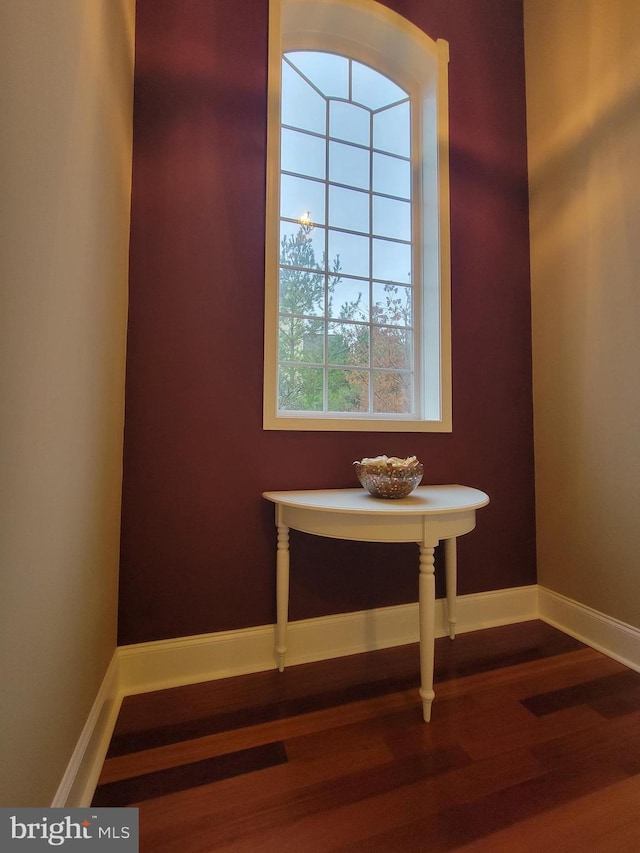 interior details featuring wood-type flooring