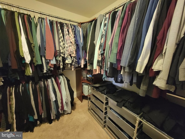 spacious closet with light carpet