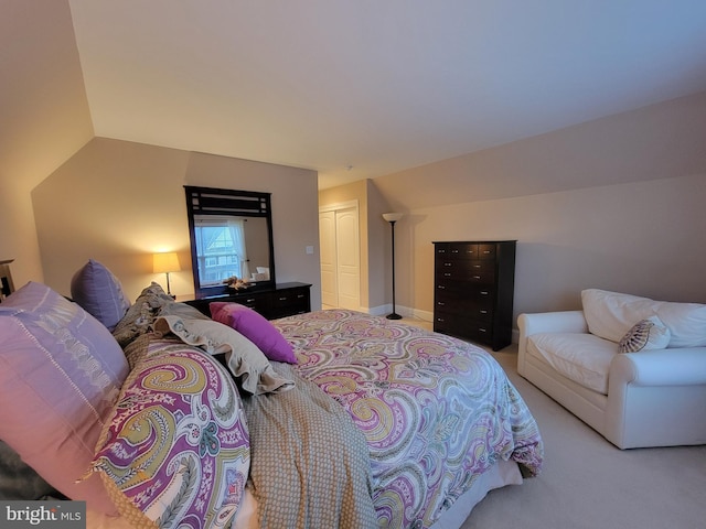 carpeted bedroom with a closet