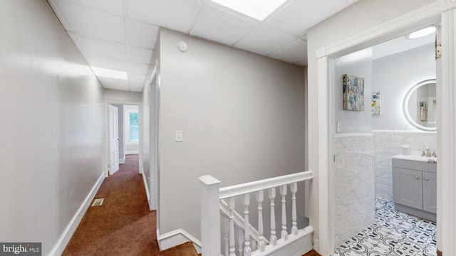 corridor featuring a drop ceiling, sink, tile walls, and carpet