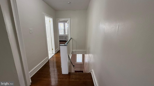 hall with dark hardwood / wood-style flooring and plenty of natural light