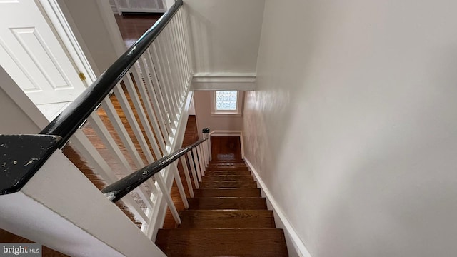 stairs with wood-type flooring