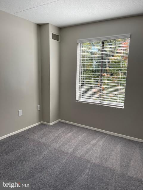 unfurnished room featuring a textured ceiling and carpet floors