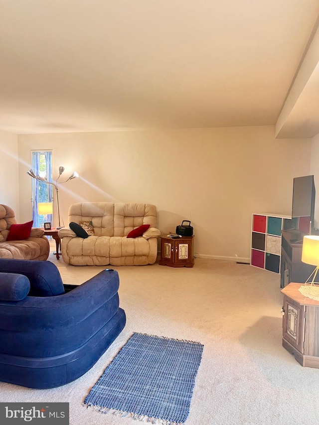 living room featuring carpet flooring