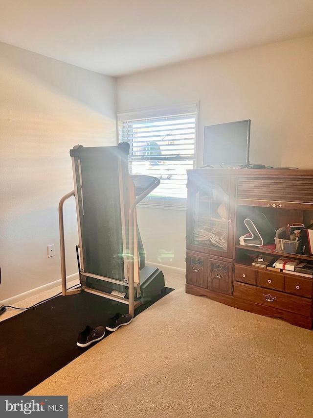 workout room featuring carpet flooring