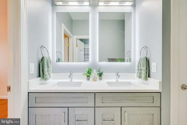 bathroom featuring wood-type flooring and vanity