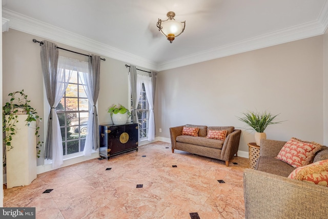 living room featuring crown molding