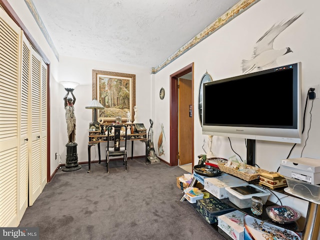 interior space with carpet and a textured ceiling