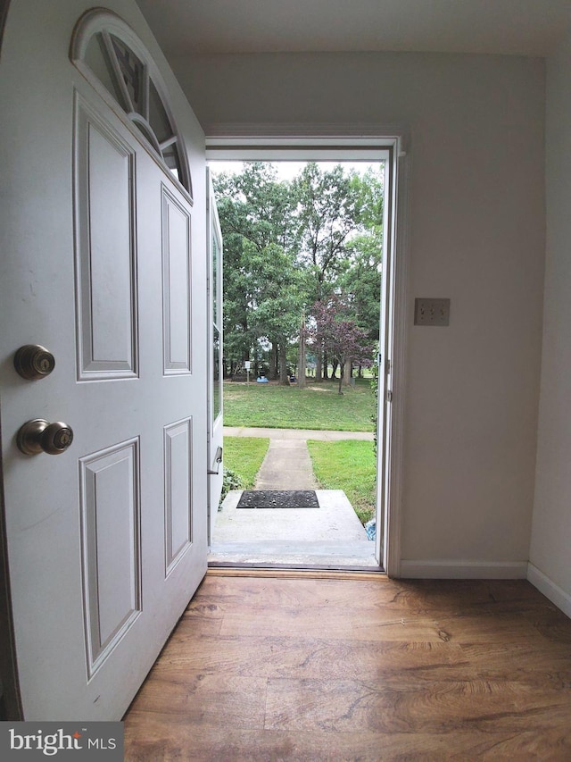 foyer entrance featuring hardwood / wood-style floors