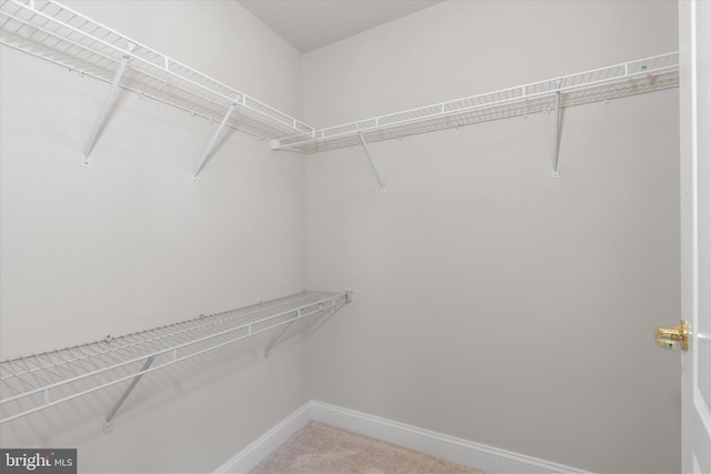3000 Fountainview Cir Unit 201, Newark, DE 19713 - walk in closet featuring carpet flooring