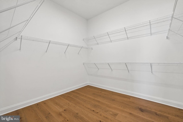 walk in closet featuring wood-type flooring