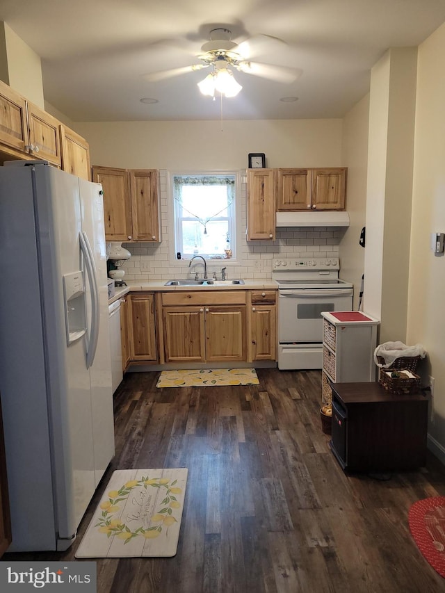 kitchen featuring white appliances, sink, ceiling fan, tasteful backsplash, and dark hardwood / wood-style flooring