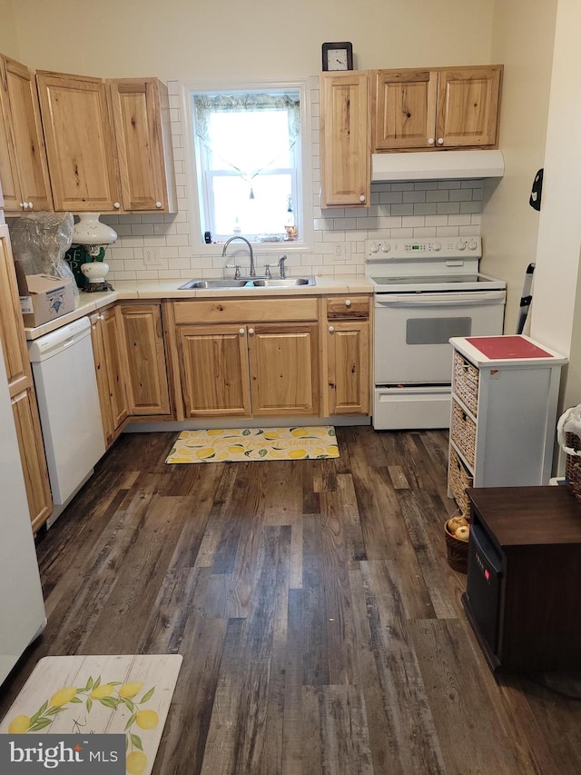 kitchen featuring backsplash, dark hardwood / wood-style flooring, sink, and white appliances