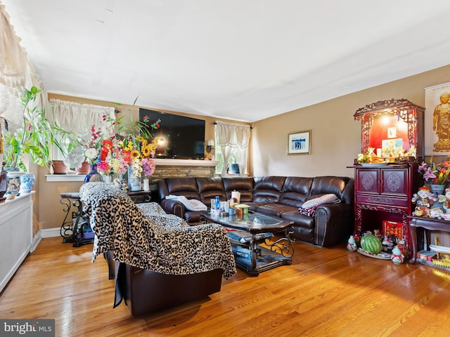 living room featuring wood-type flooring