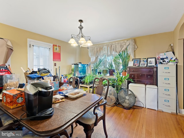 dining room with a wealth of natural light, a notable chandelier, and light hardwood / wood-style floors