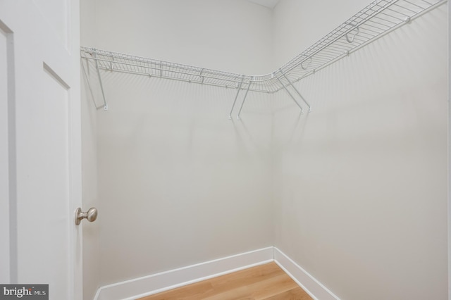 walk in closet featuring hardwood / wood-style flooring