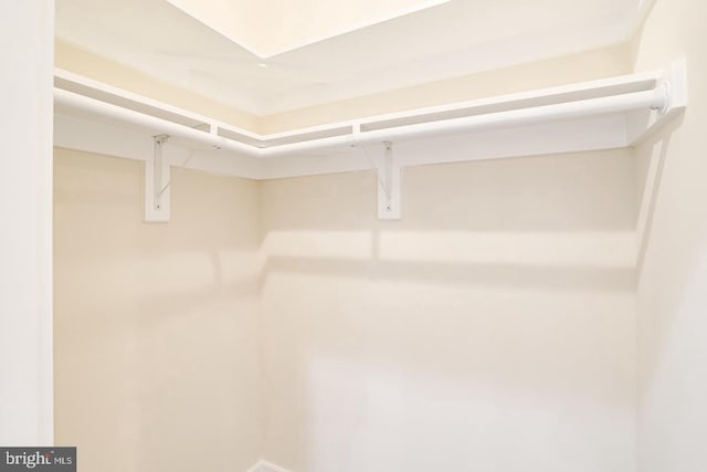 2405 Naylor Rd SE, Washington, DC 20020 - view of spacious closet