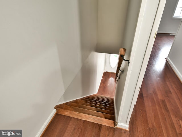 stairs with hardwood / wood-style flooring