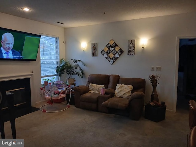 living room featuring carpet floors