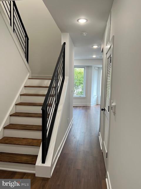 staircase with hardwood / wood-style flooring