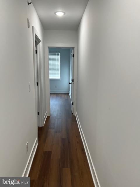 hall with dark hardwood / wood-style flooring