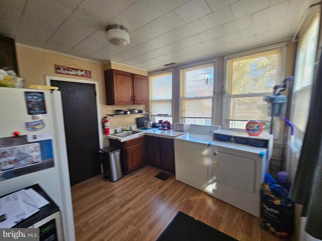 kitchen featuring hardwood / wood-style flooring, sink, white refrigerator, and crown molding